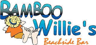 In Kind - Bamboo Willies - Logo