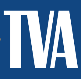 Silver - TVA- BullRun - Logo