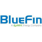 Bluefin