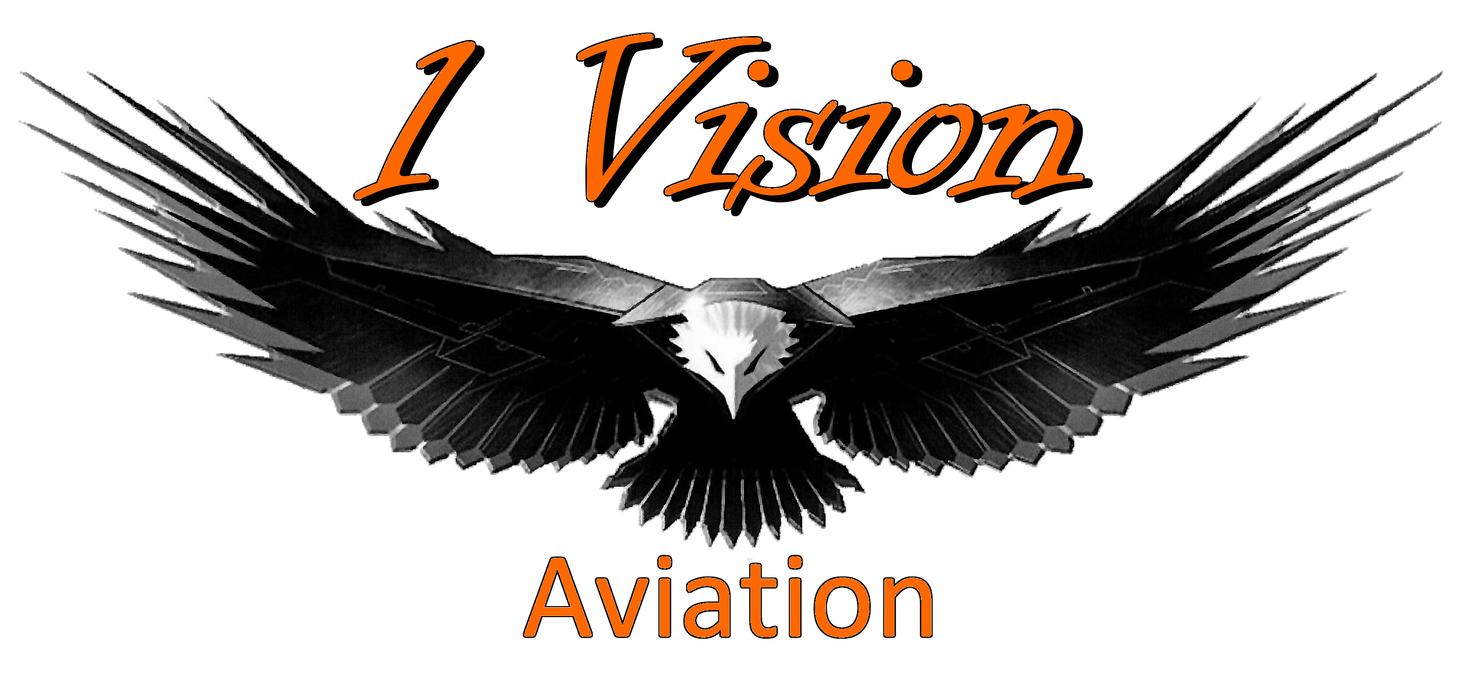 1 Vision Aviation