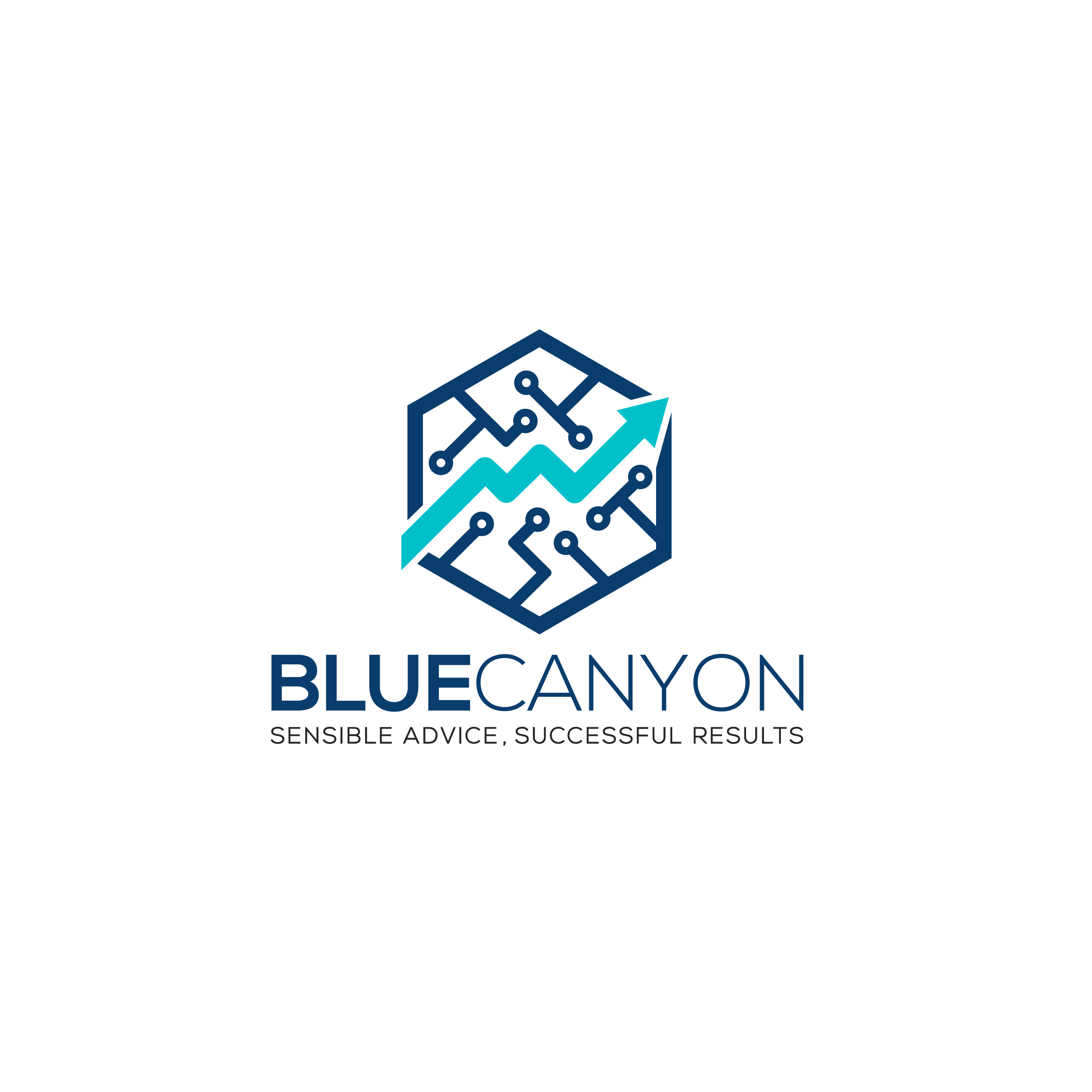 Lunch Sponsor - Blue Canyon - Logo