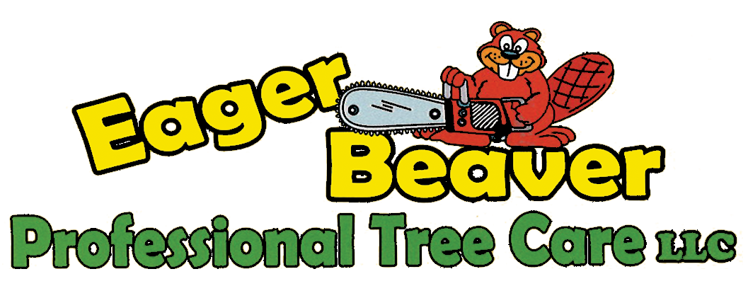 In Kind Sponsor - H C Jacques - Logo