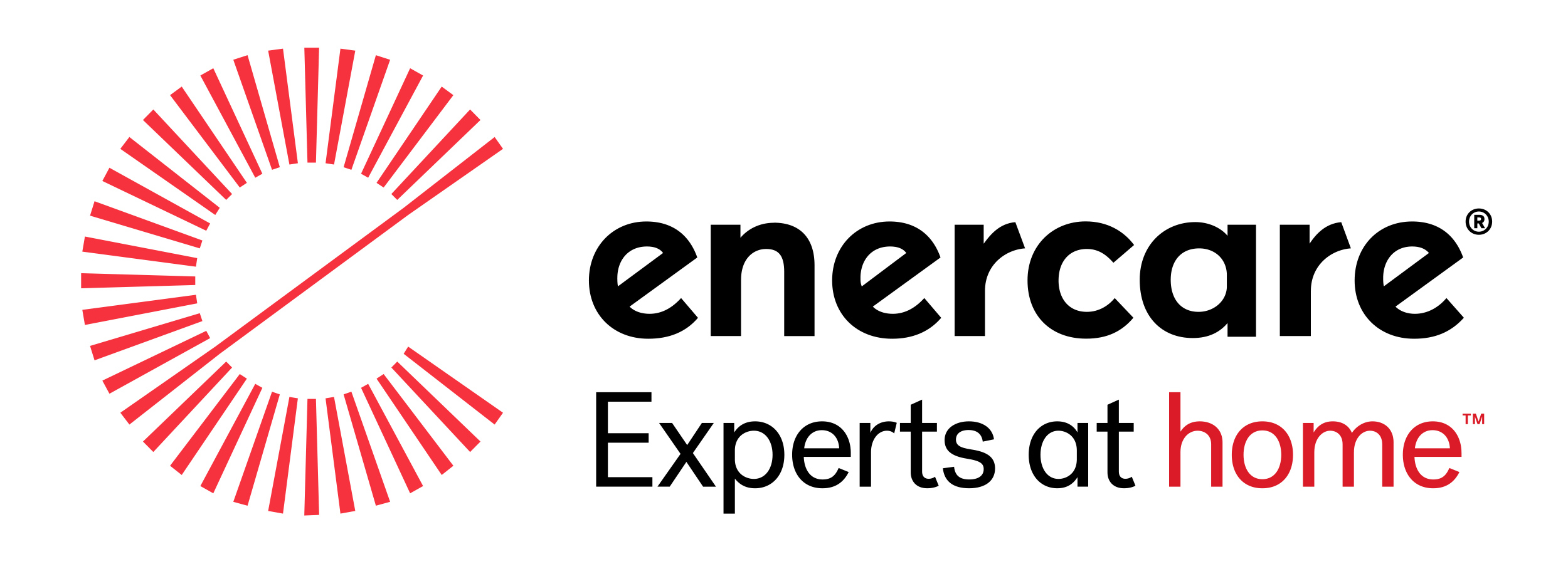 Silent Auction Sponsors - Enercare - Logo
