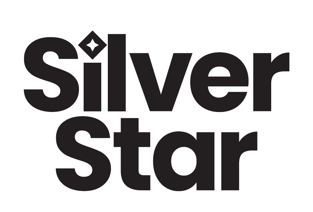 Silent Auction Item - Silver Star - Logo