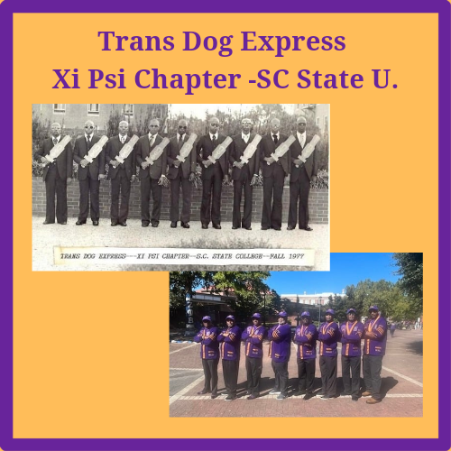 Tee Box Sponsor - Trans Dog Express - Xi Psi Chapter -SC State U - Logo