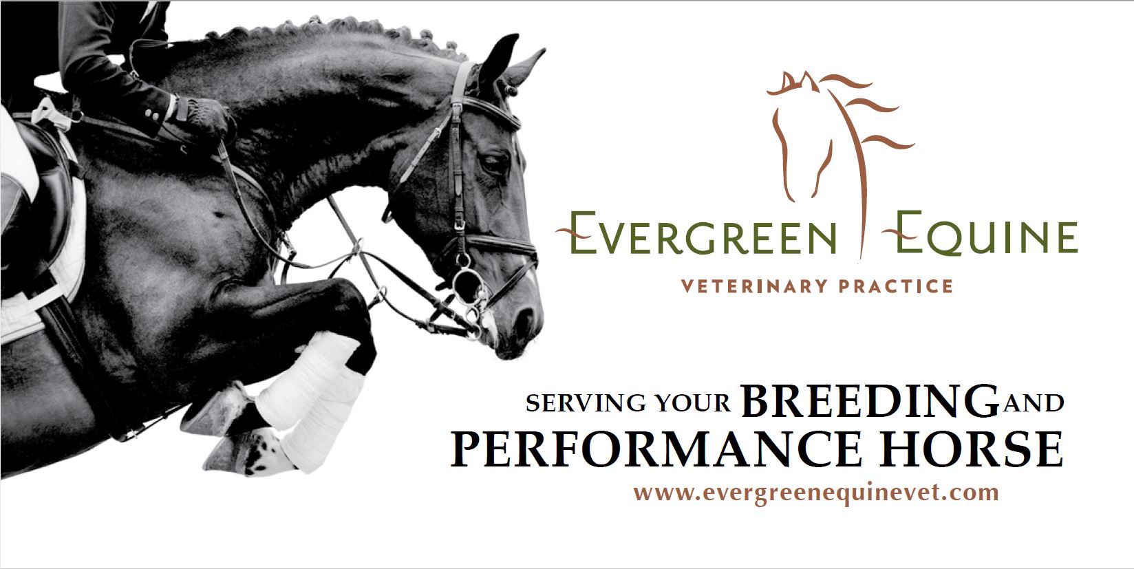 Partial Hole Sponsor - Evergreen Equine  - Logo