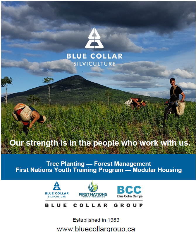 Blue Collar Silviculture