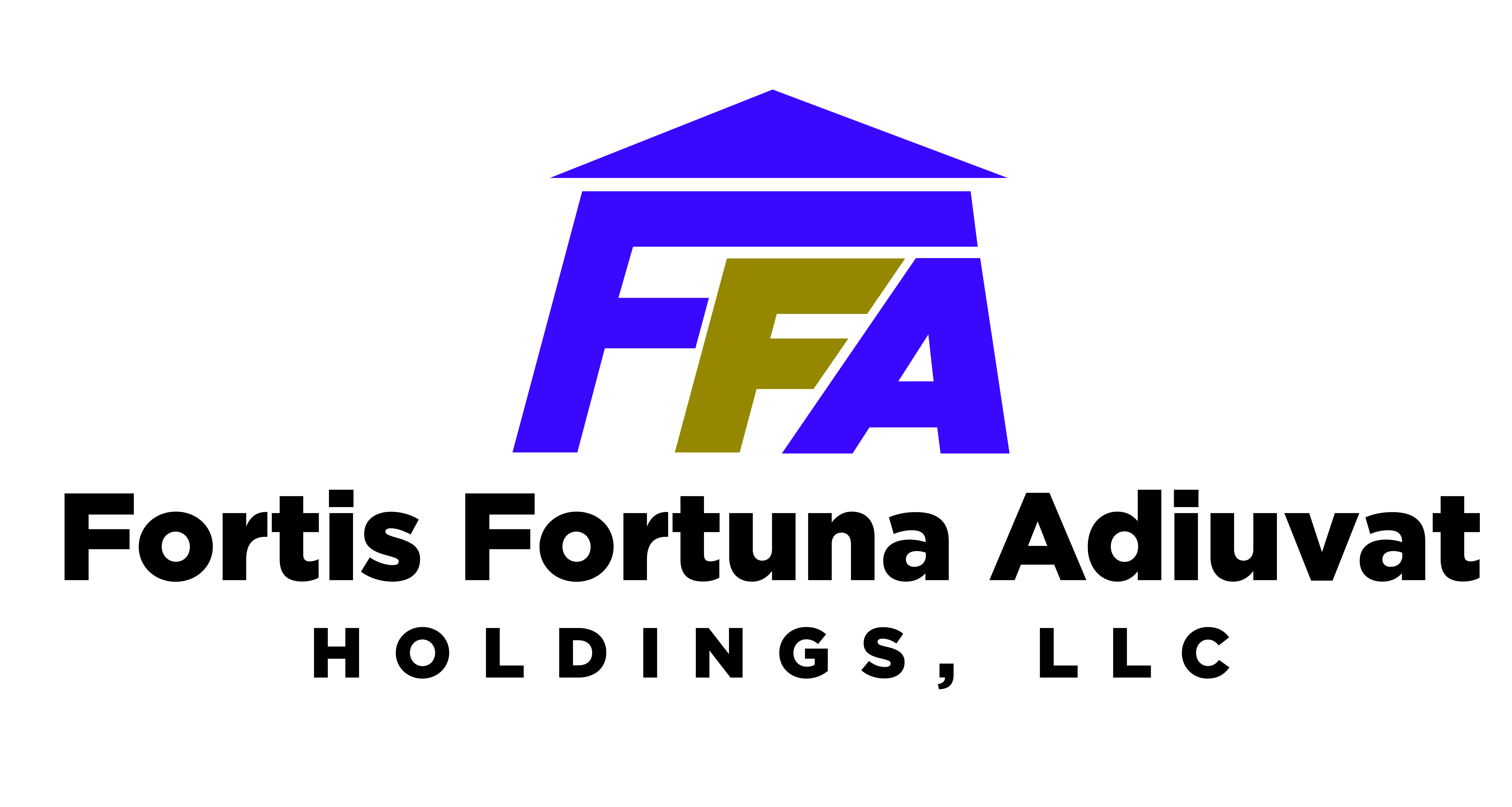 Fortis Fortuna Adiuvat Holdings, LLC