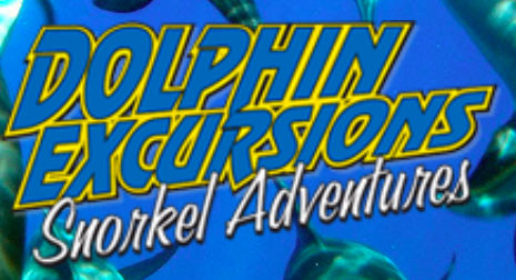 Dolphin Excursions Hawaii