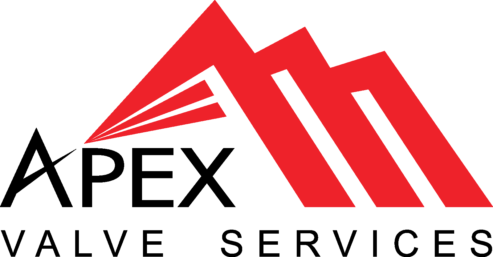 Apex Valve Services
