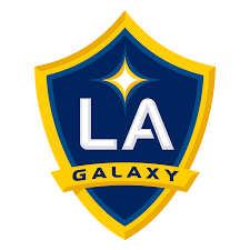 Auction Item/Donation - LA Galaxy - Logo