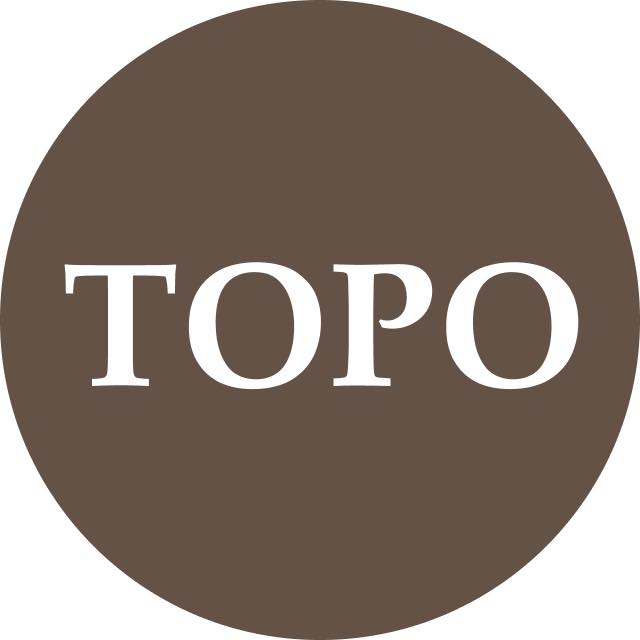 Silver Sponsor - Topo Motorsports - Logo
