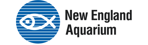 Raffles - New England Aquarium - Logo