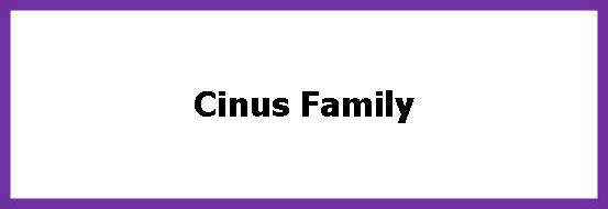 Cinus Family