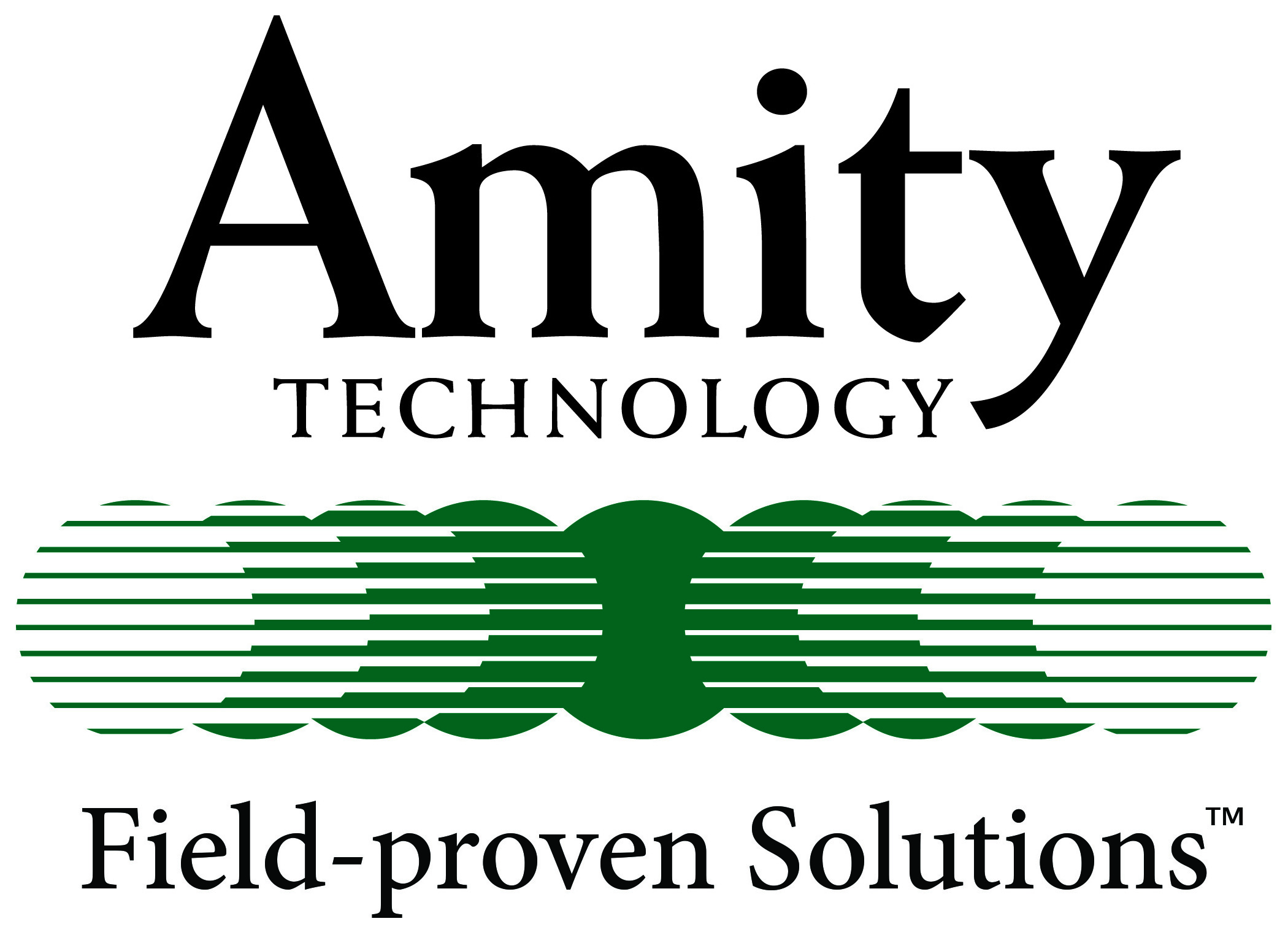 Hole Sponsor - Amity Technology - Logo