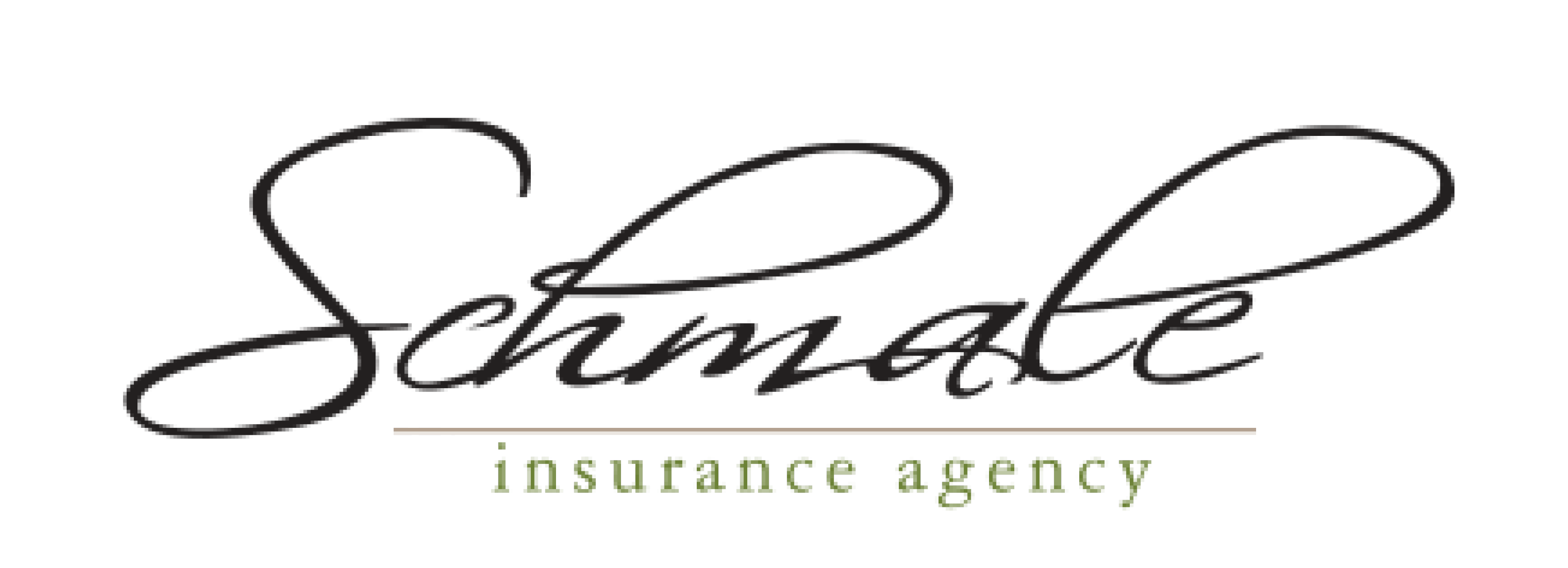 Twosome Team Sponsor - Schmale Insurance Agency - Logo