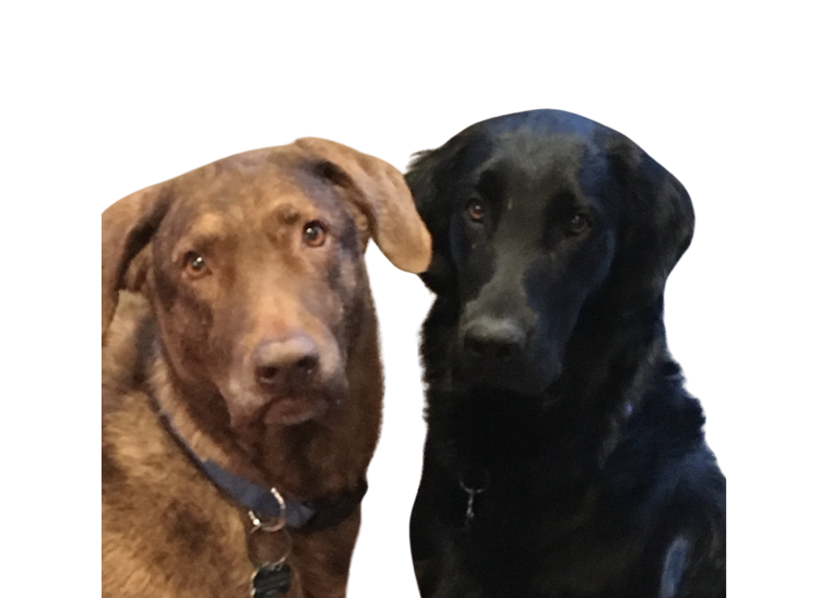 Hole Sponsors - Bridger & Deets - Logo