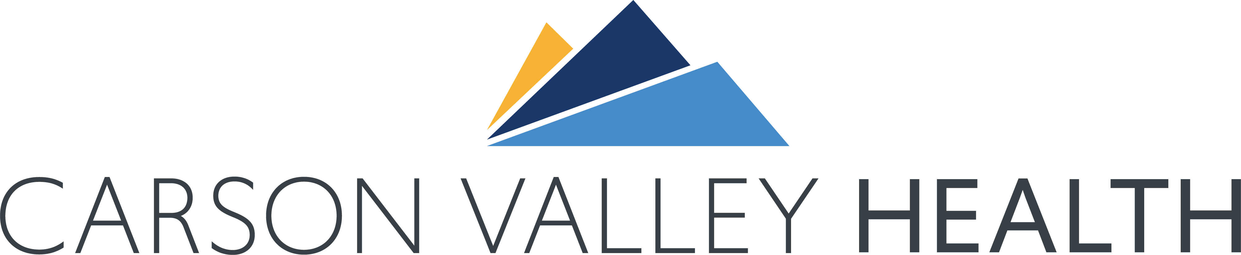 19th Hole Celebration - Carson Valley Health - Logo