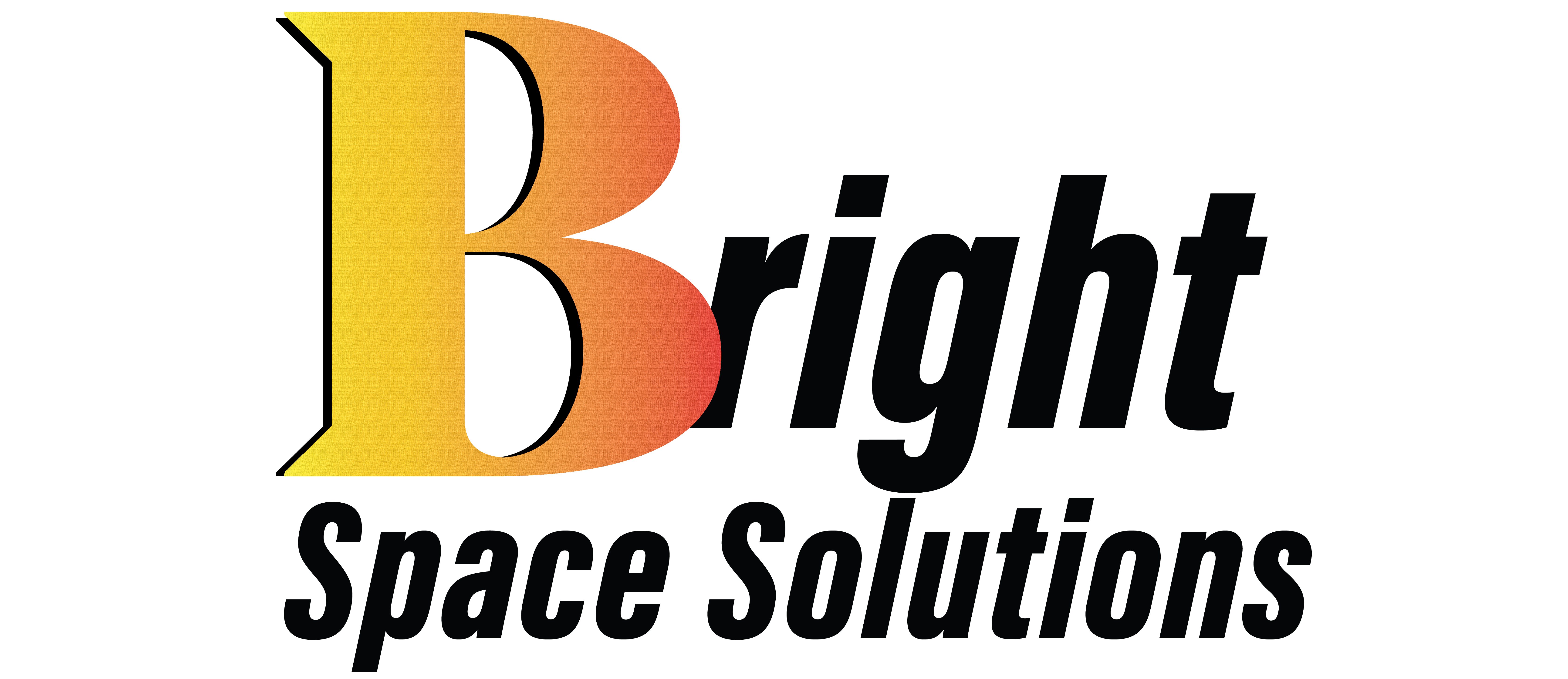BRONZE LEVEL SPONSORS: - BrightSpace Solutions - Logo