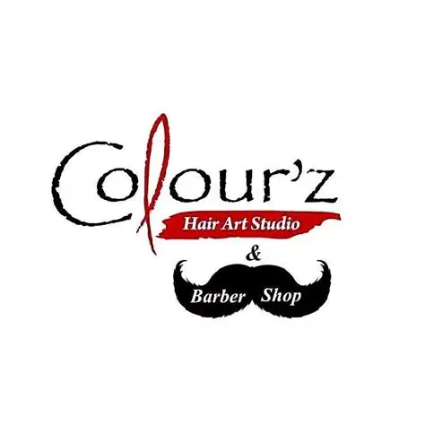 Auction Vendors - Colour'z Hair Art Studio - Logo
