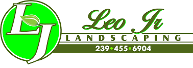 Leo Jr. Landscaping