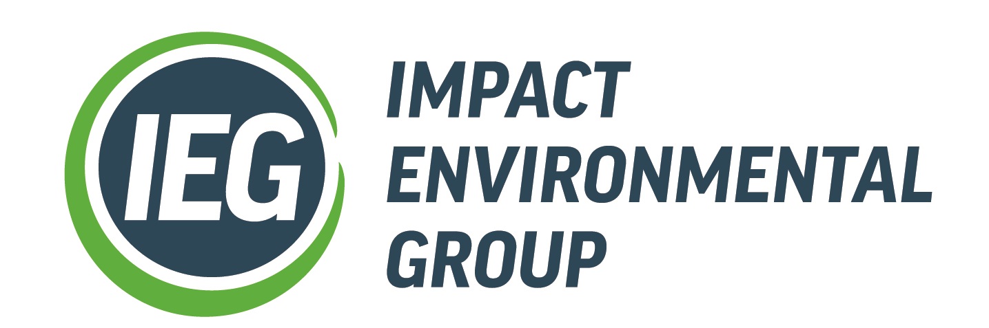 Impact Environmental Group