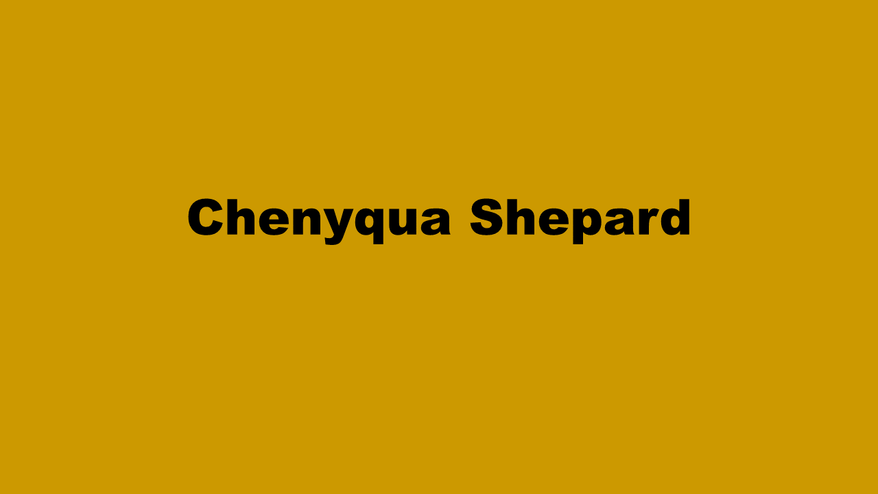 BRONZE LEVEL SPONSORS: - Chenyqua Shepard - Logo