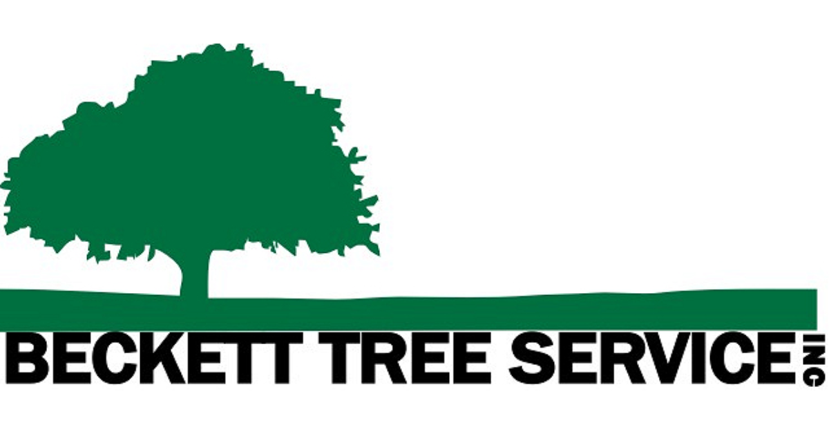 Beckett Tree Service