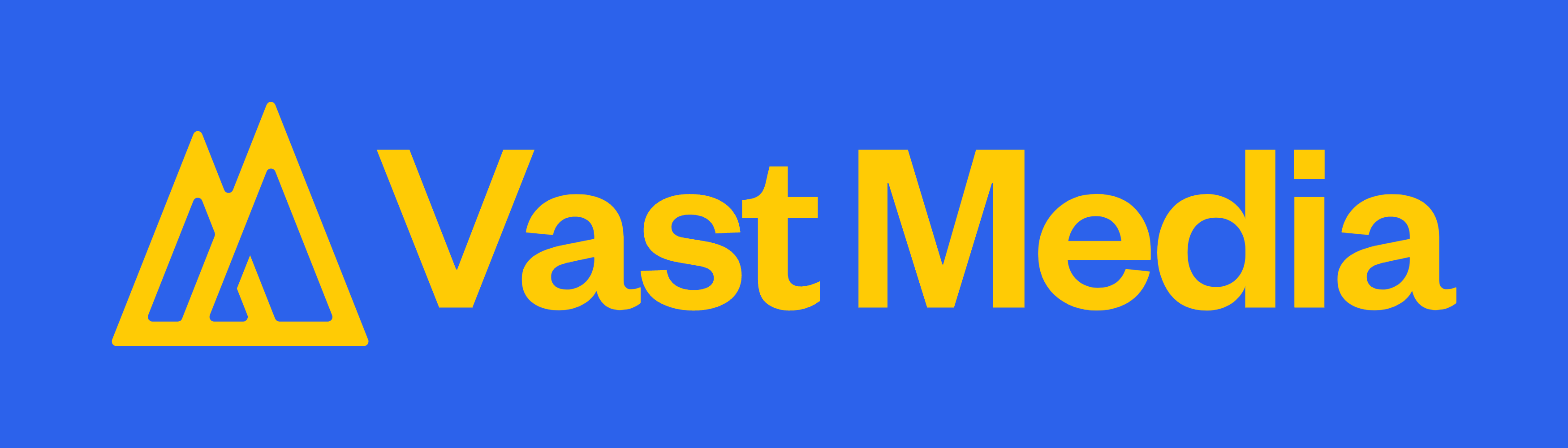 Birdie's Eye View - Vast Media - Logo