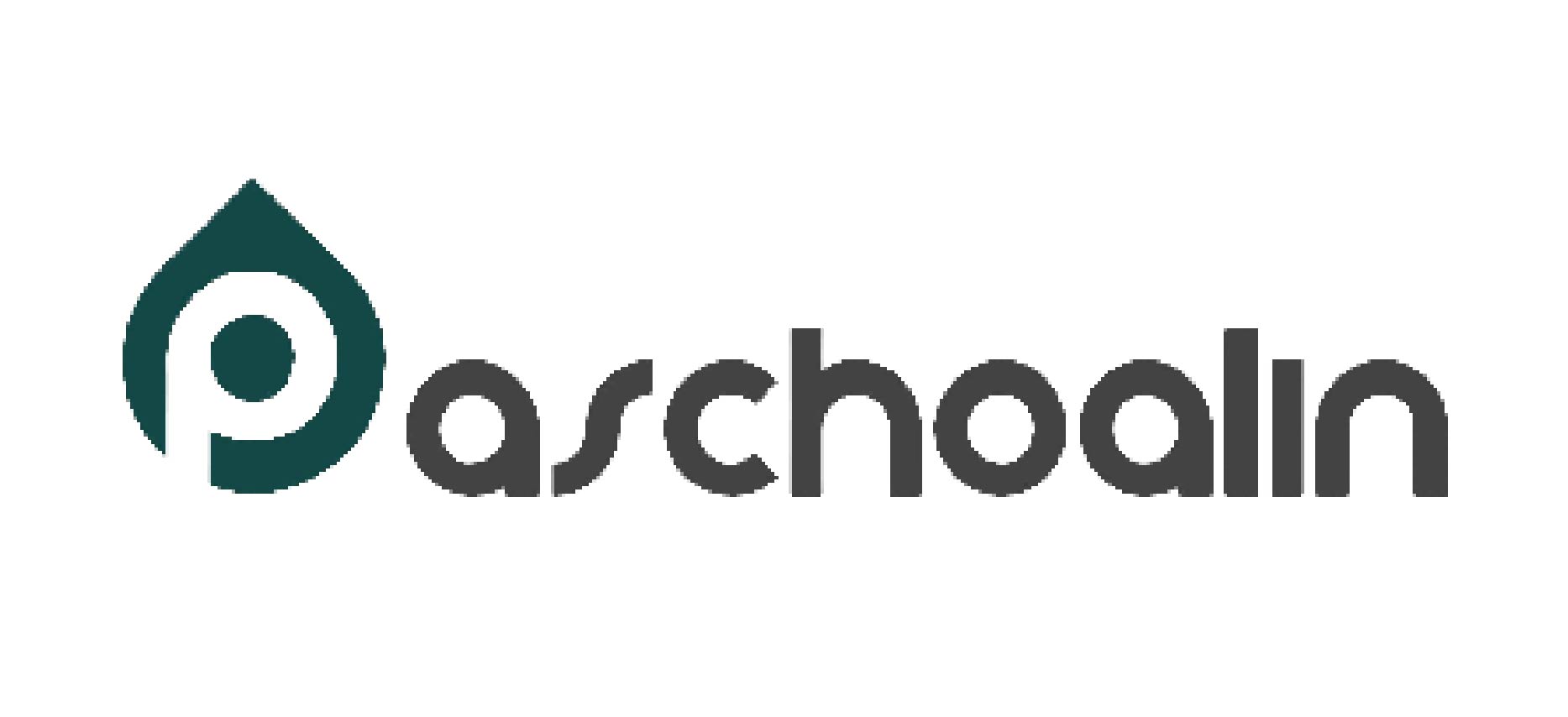 Lunch Sponsor - Paschoalin - Logo