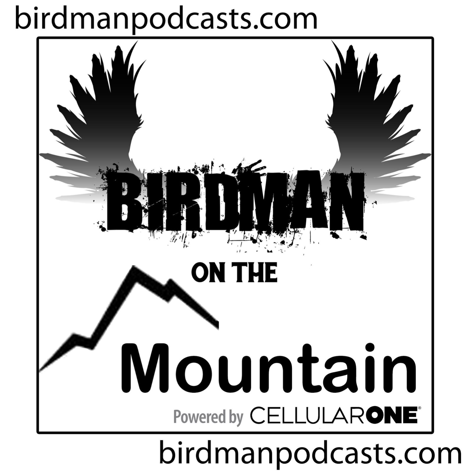 $100 Hole Sponsor - Birdman Podcasts/ Rob Hephner - Logo