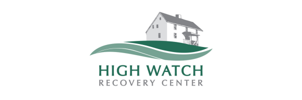 Silver - High Watch - Logo