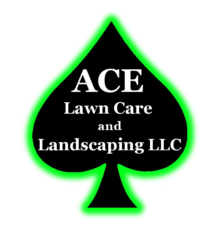 Hole Sponsor - Ace Lawncare and Landscaping, LLC - Logo