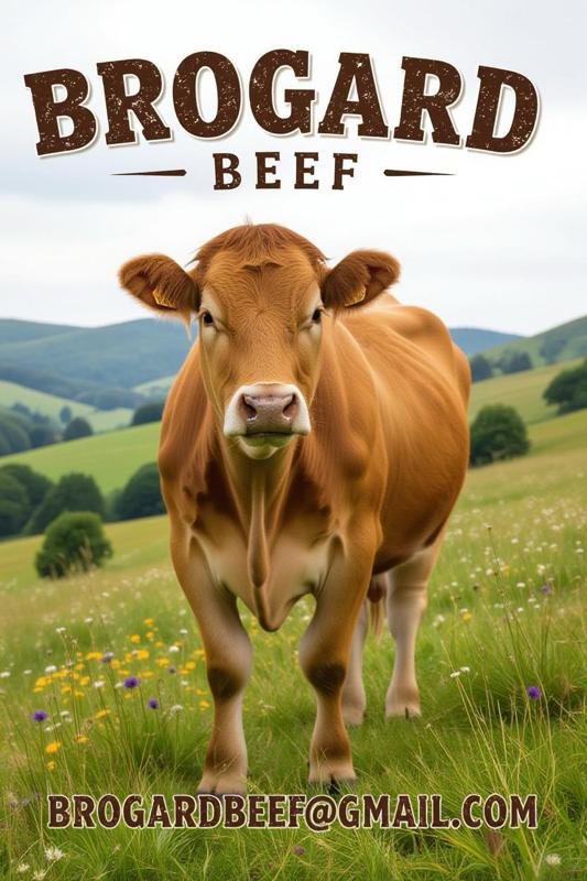 Brogard Beef