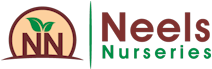 Neels Nursaries