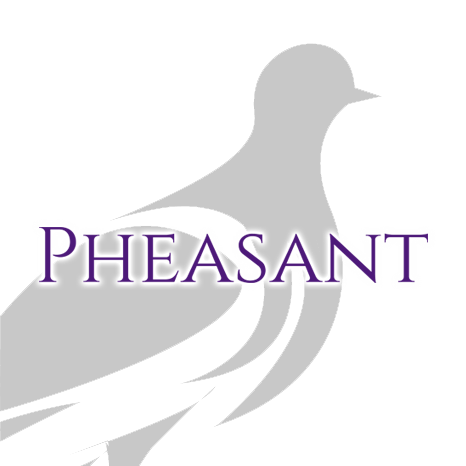 Sponsor - Pheasant Energy - Logo