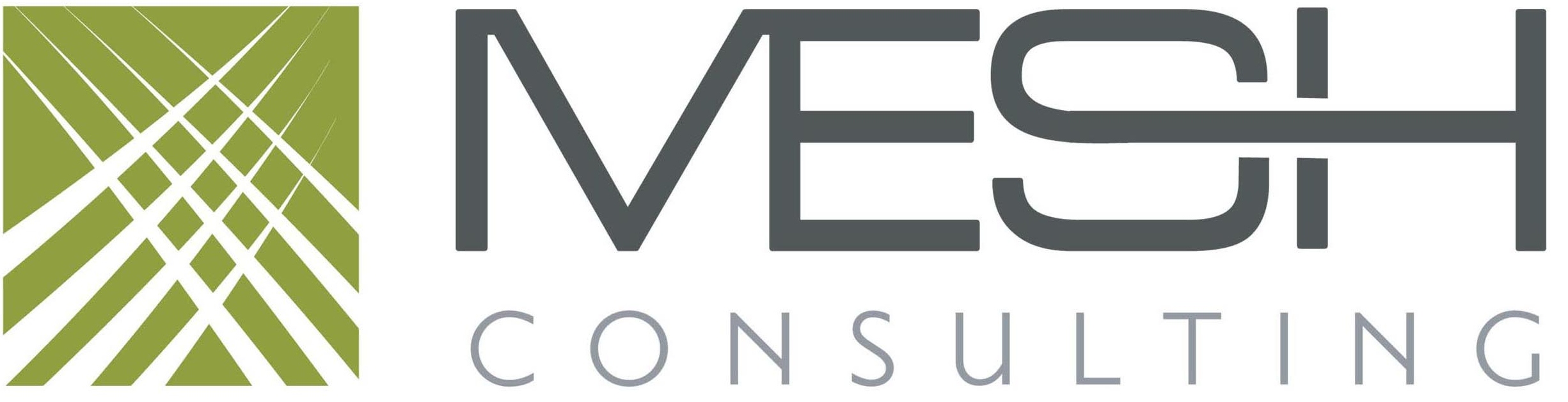 MESH CONSULTING