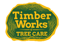 TimberWorks Tree Care
