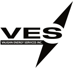 Ves Inc