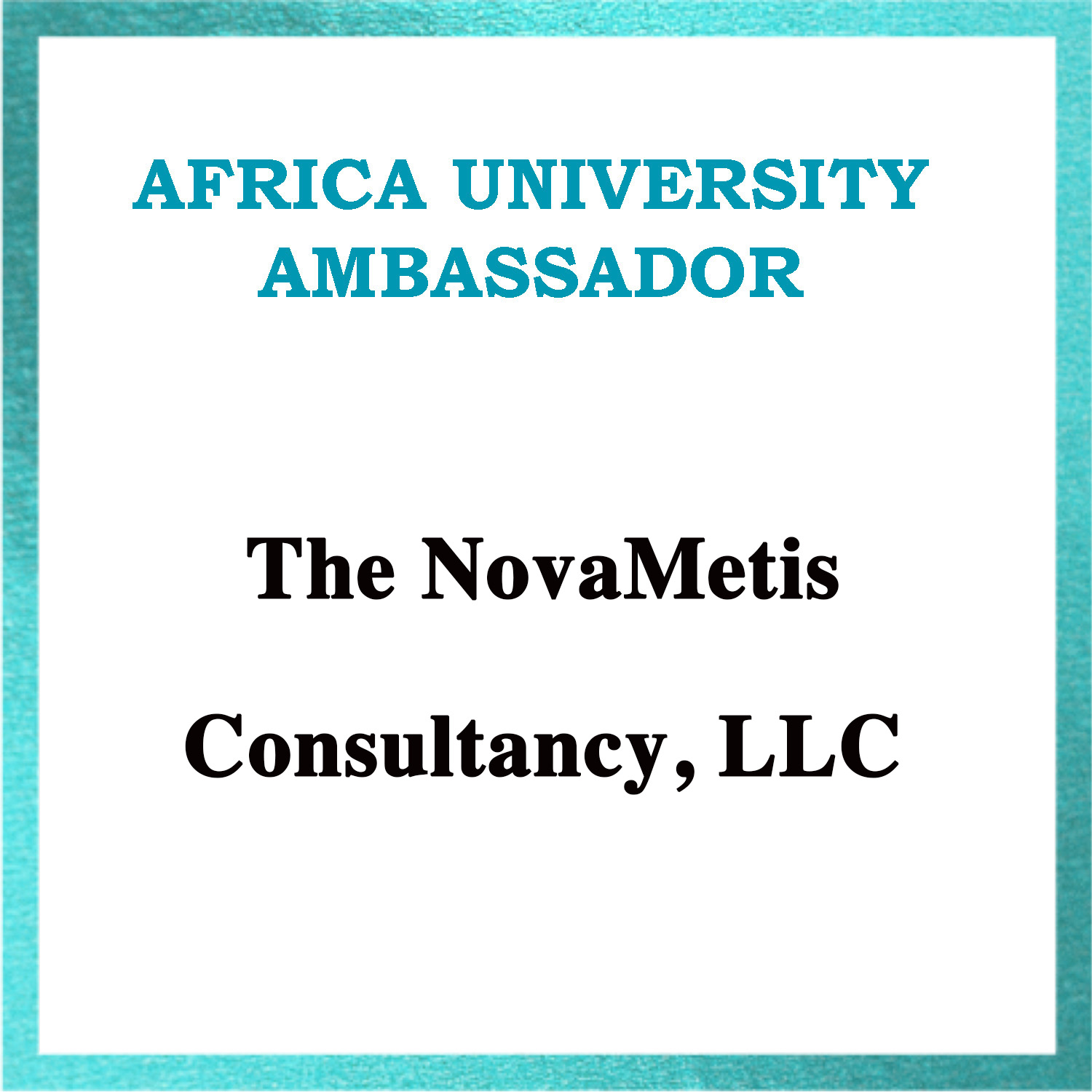 The NovaMetis Consultancy, LLC
