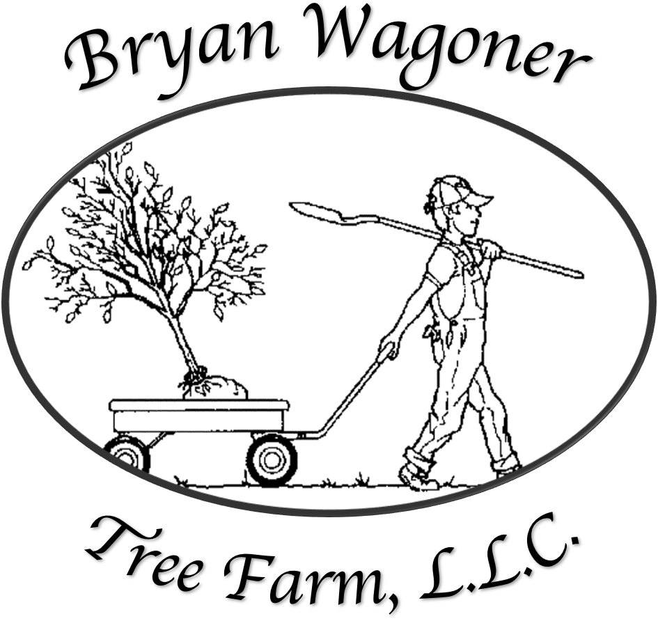 Bryan Wagoner Tree Farm