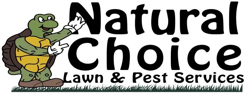 Natural choice landscape 