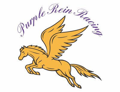 Purple Rein Racing