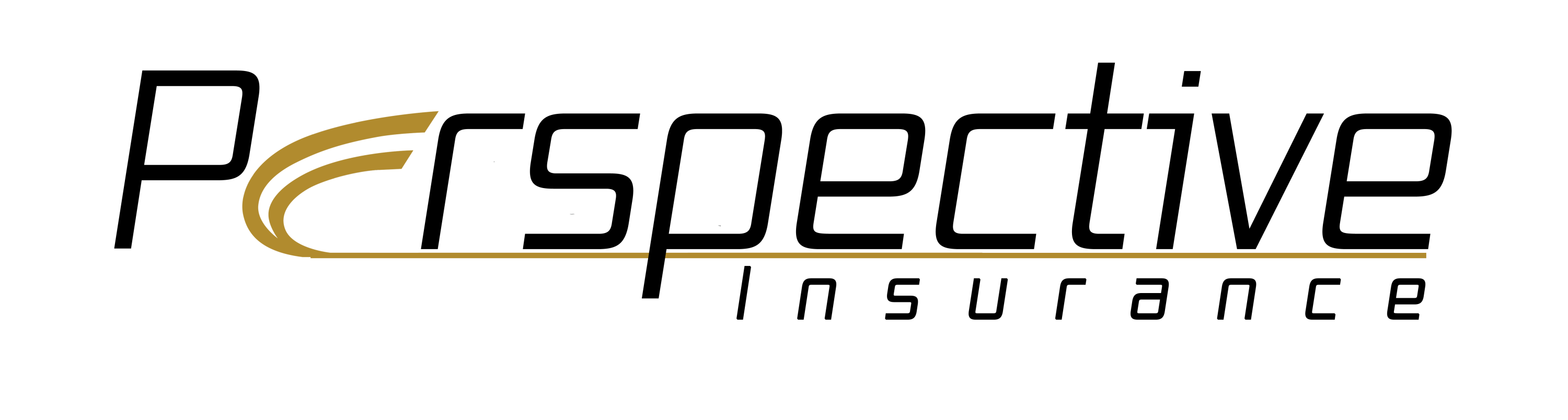 Perspective Insurance