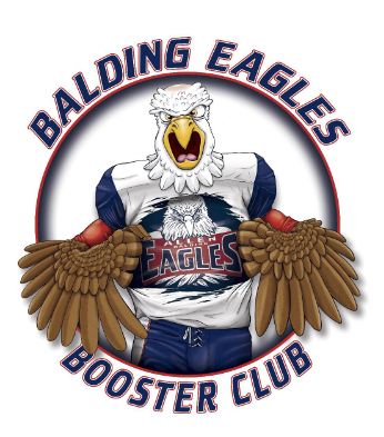 Hole In One - The Balding Eagles - Logo