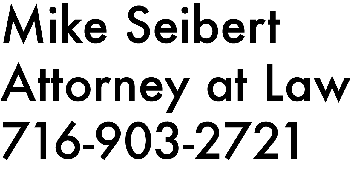 Mike Seibert