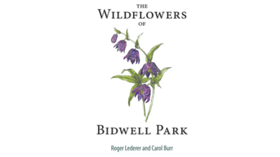 Eagle Sponsor - Wildflowers of Bidwell Park - Logo