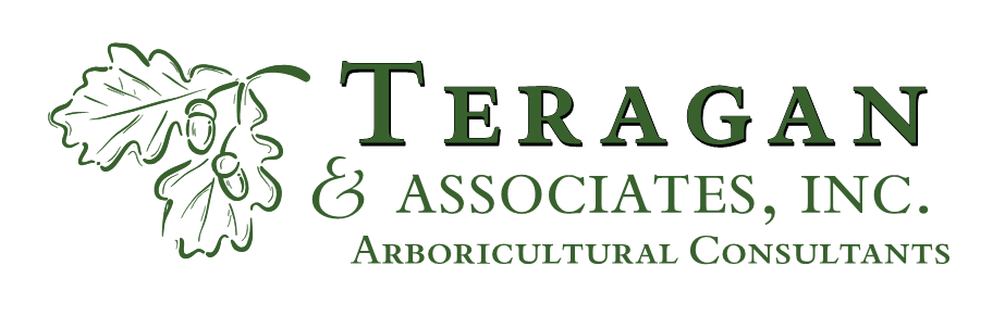 Teragan & Associates, Inc.
