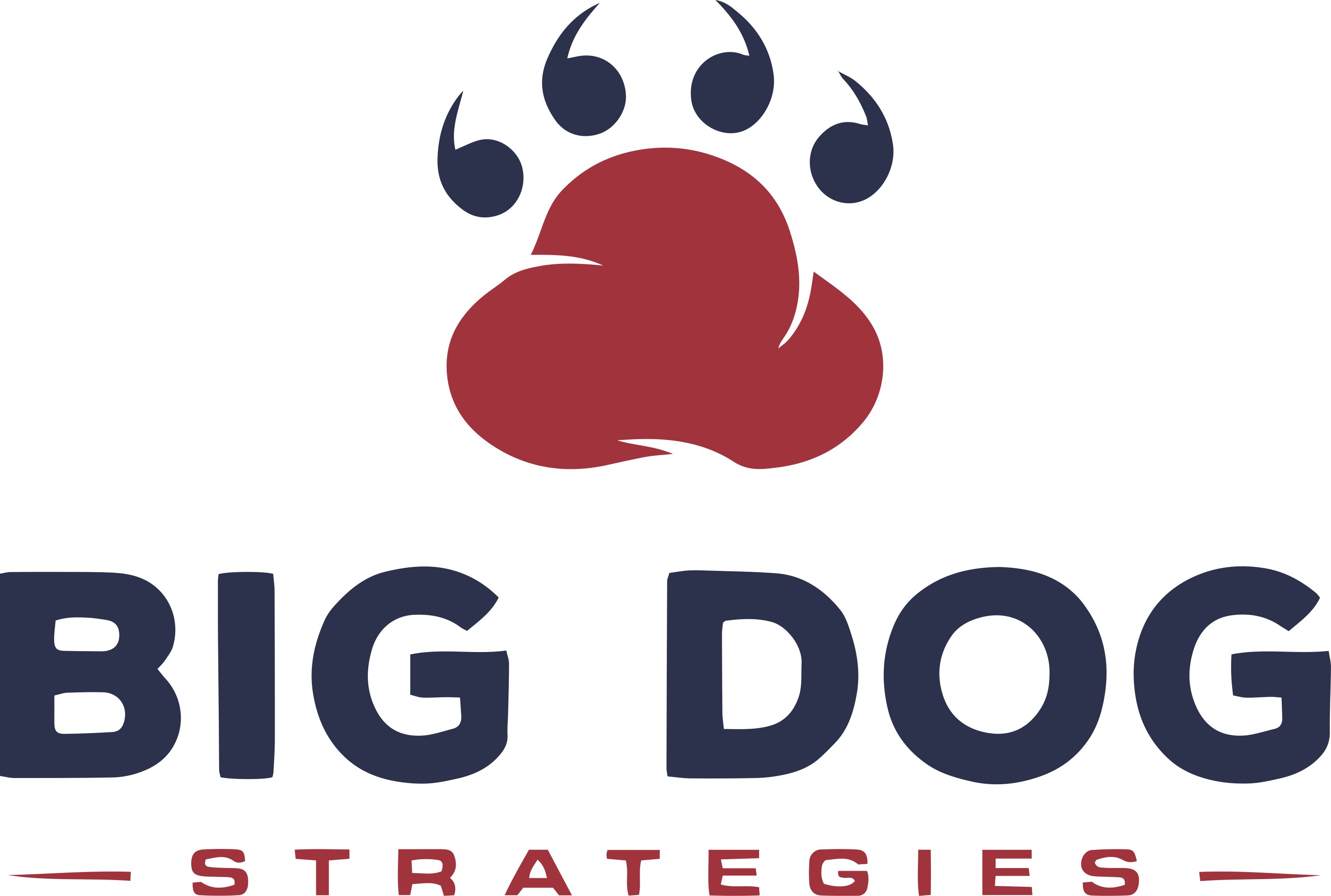 Big Dog Strategies