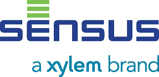 Xylem